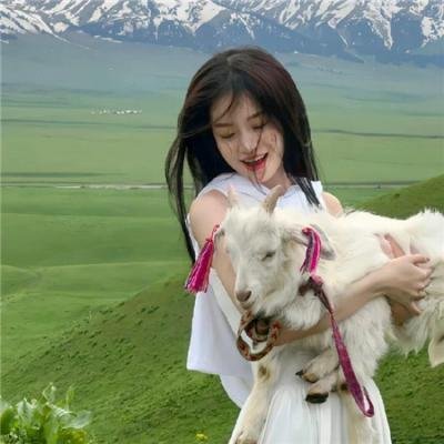 恐龙战队第四季